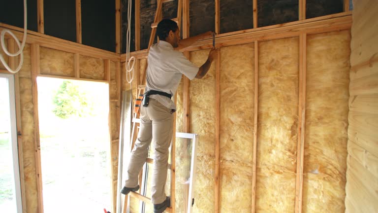 Best Insulation Air Sealing  in Osborne, KS